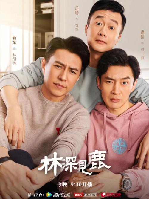 林深见鹿电视剧免费观看全集在线 | 靳东李小冉都市情感剧 | 高清无删减版资源