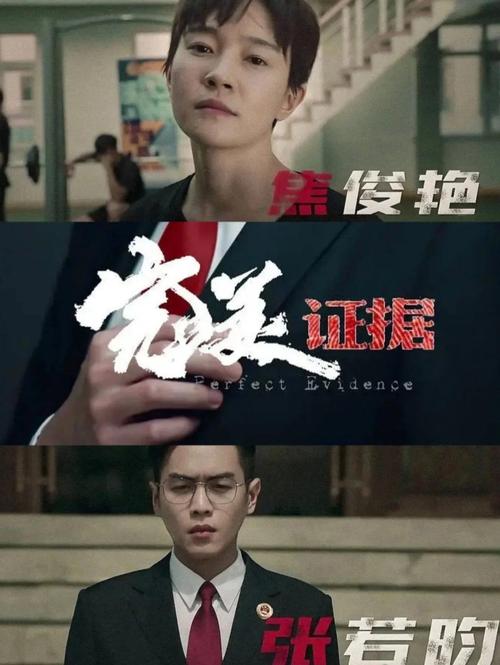 完美证据电视剧免费观看完整版 | 在线高清资源 | 全集未删减版