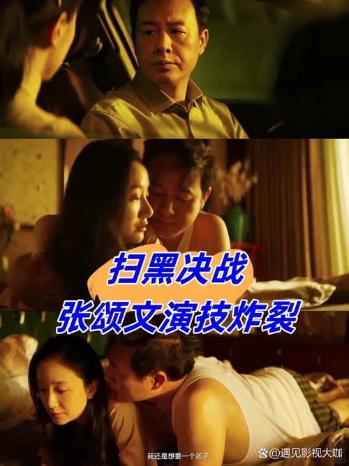 《扫黑·决战》在线观看免费 | 扫黑除恶真实案件改编 | 张颂文姜武巅峰对决