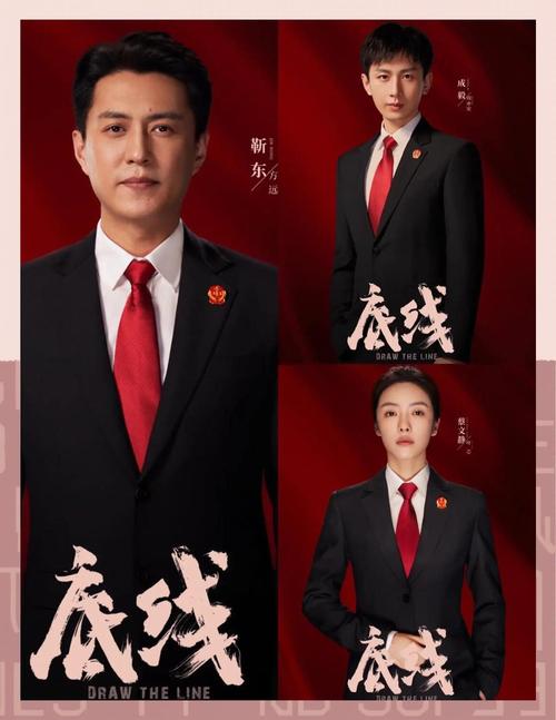 底线电视剧在线观看完整版免费 | 靳东成毅法庭对决 | 最高法指导案例改编