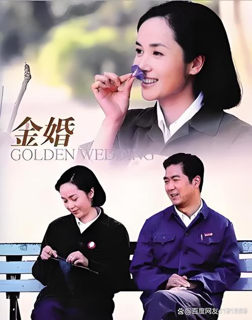 金婚全集免费高清在线观看|50年婚姻经典剧集重温|张国立蒋雯丽主演家庭伦理大剧