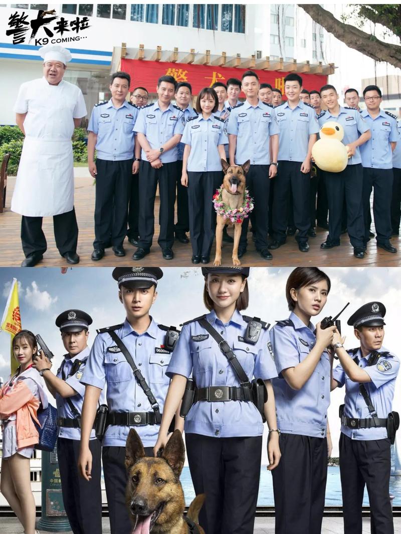 警犬来啦48集免费观看 | 警犬训练日常 | 萌宠破案剧情 | 在线高清追剧