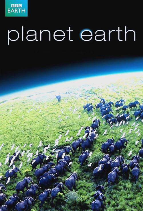 《地球脉动第一季免费观看》震撼纪录片：零成本探索自然奇观与野生动物秘境