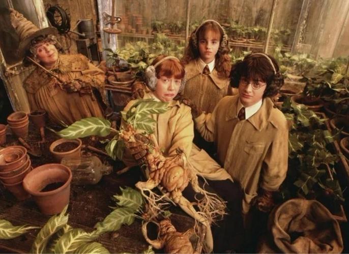 《哈利波特1~8免费观看》全集高清在线|魔法世界重温|霍格沃茨经典全收录