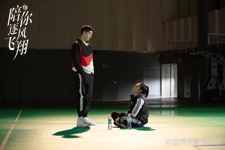 陪你逐风飞翔第35集免费观看 | 冰上竞技青春剧 | 逐风飞翔大结局剧情