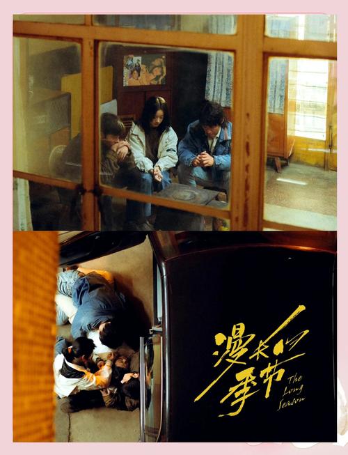 《漫长的季节》免费观看完整版,悬疑剧情与人性深度解析,在线追剧无广告