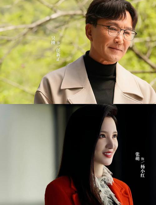 后浪电视剧免费观看完整版高清|最新剧情|全集资源在线