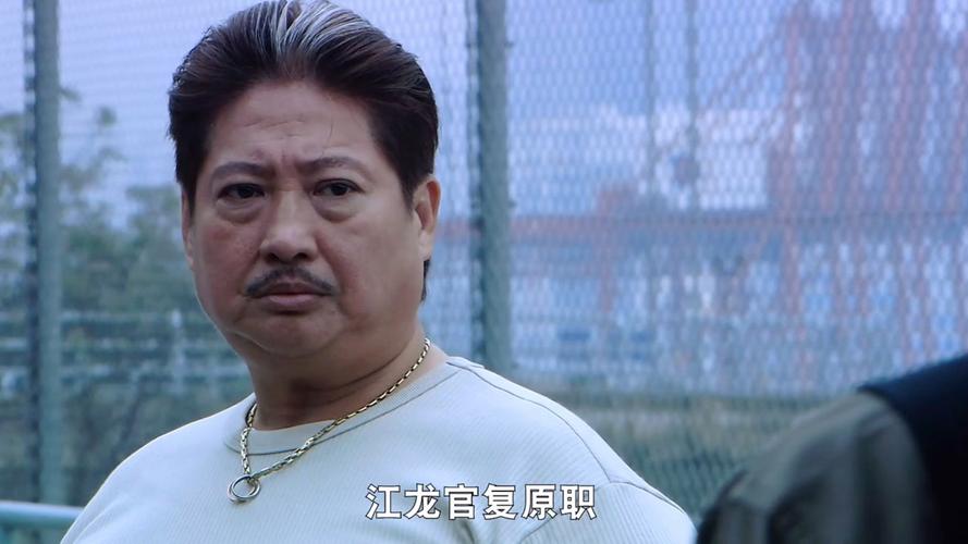 免费观看猛龙直播回放 高清NBA比赛录像在线看