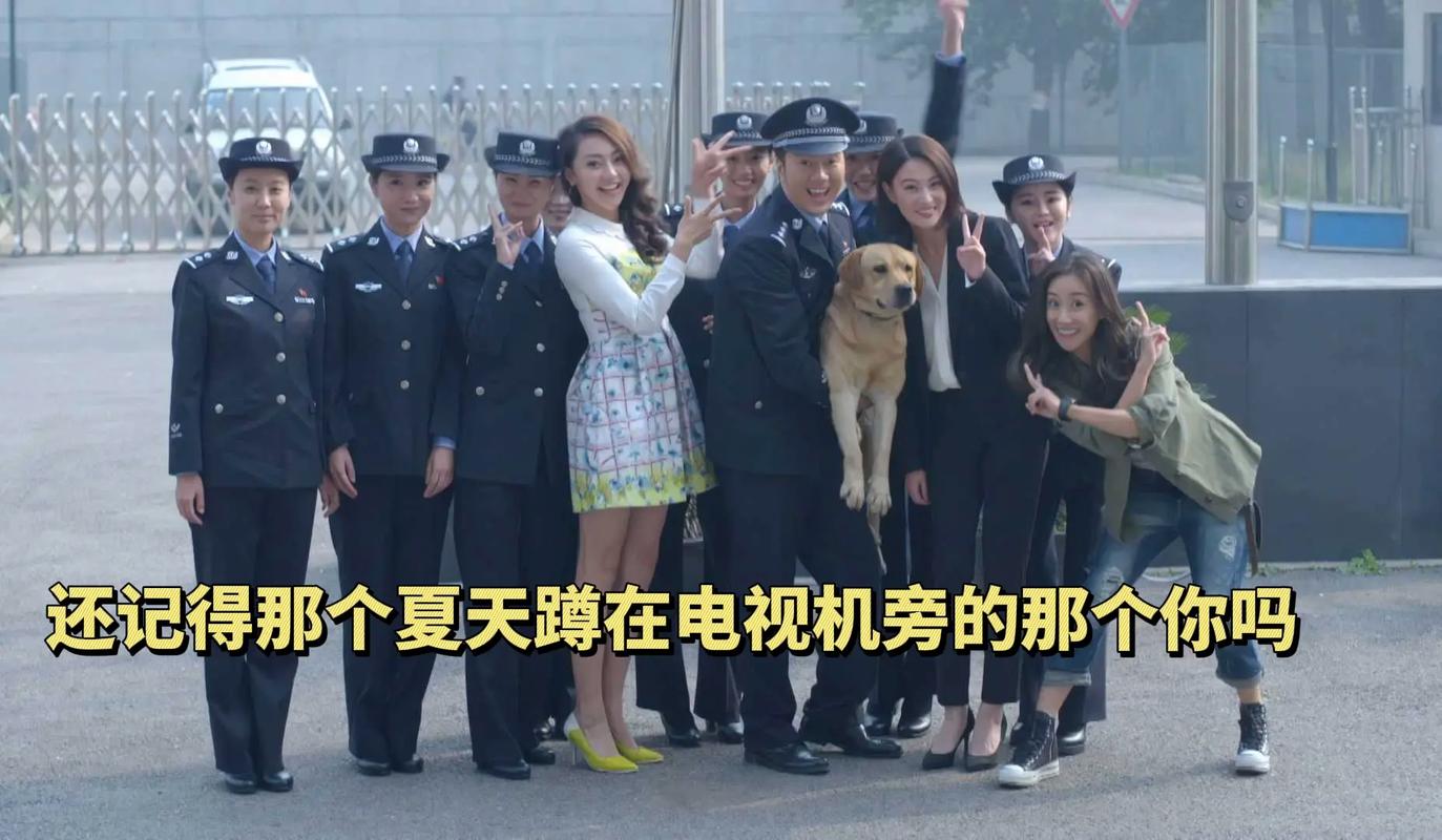 免费观看《西红柿首富》完整版 | 在线高清资源 · 免广告 · 全片无删减