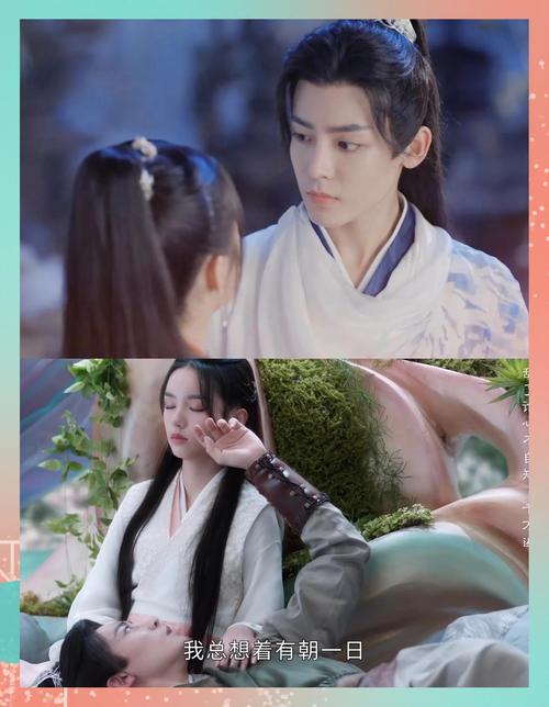 护心电视剧免费观看完整版高清 | 在线追剧无广告 全集资源一键获取