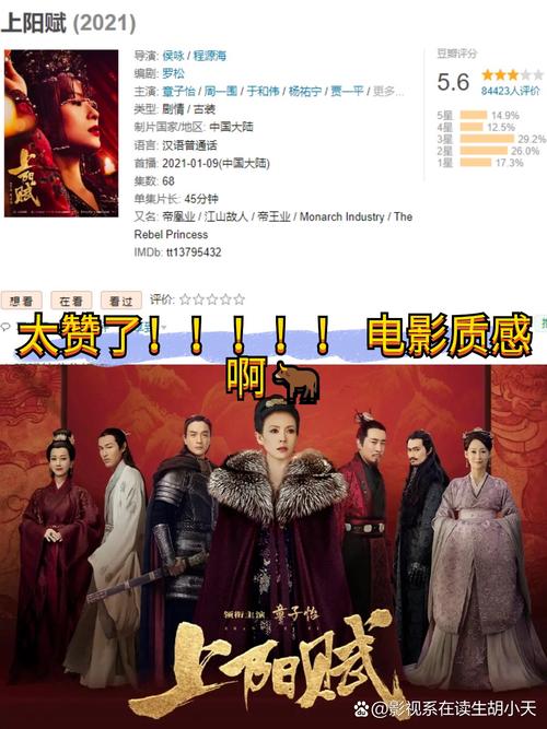 《上阳赋》全集免费观看完整版 | 章子怡古装权谋大剧在线看 | 高清无删减资源