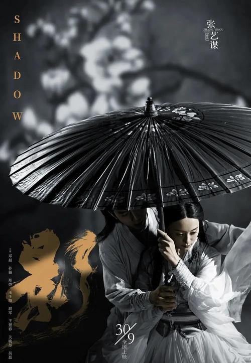 免费观看《影》电影全集完整版 | 高清无删减在线播放