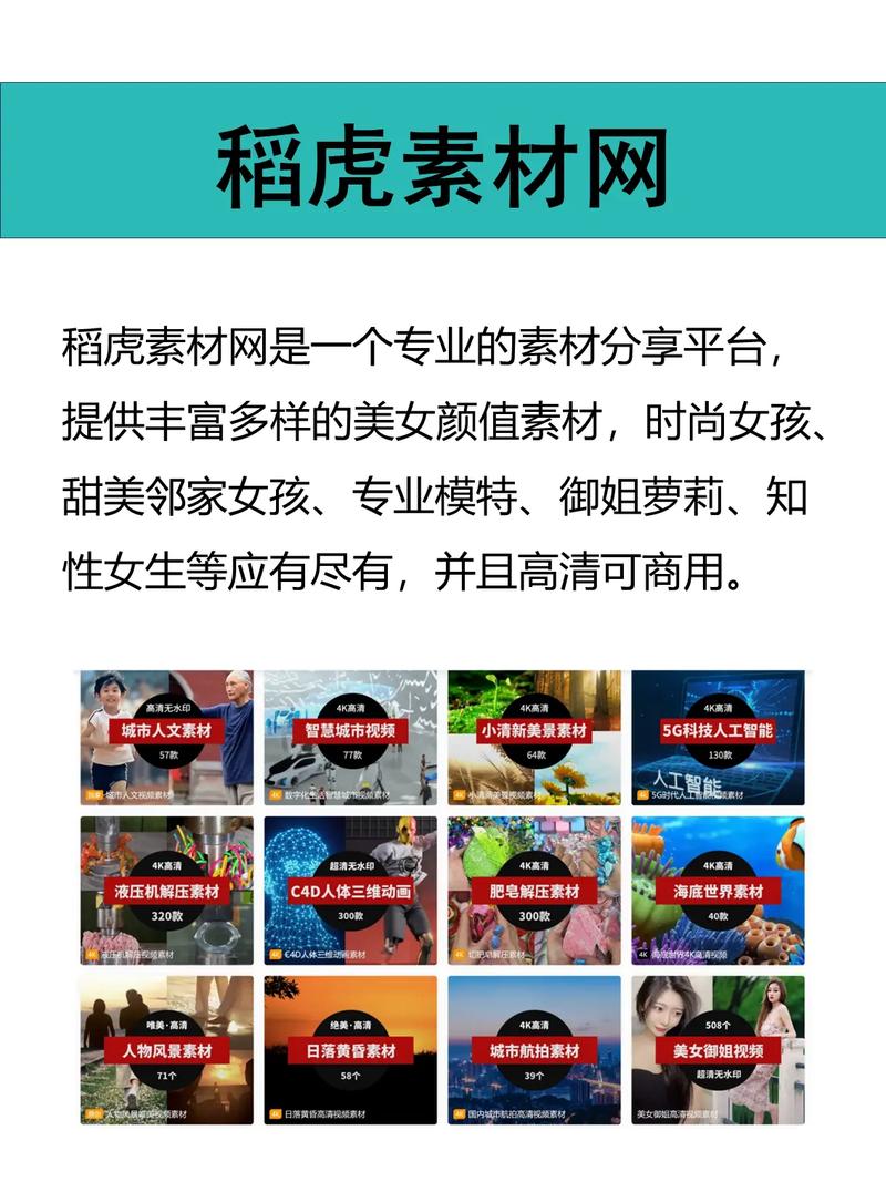 美女视频免费观看的网站 - 在线高清资源大全|免费美女视频|无广告播放平台