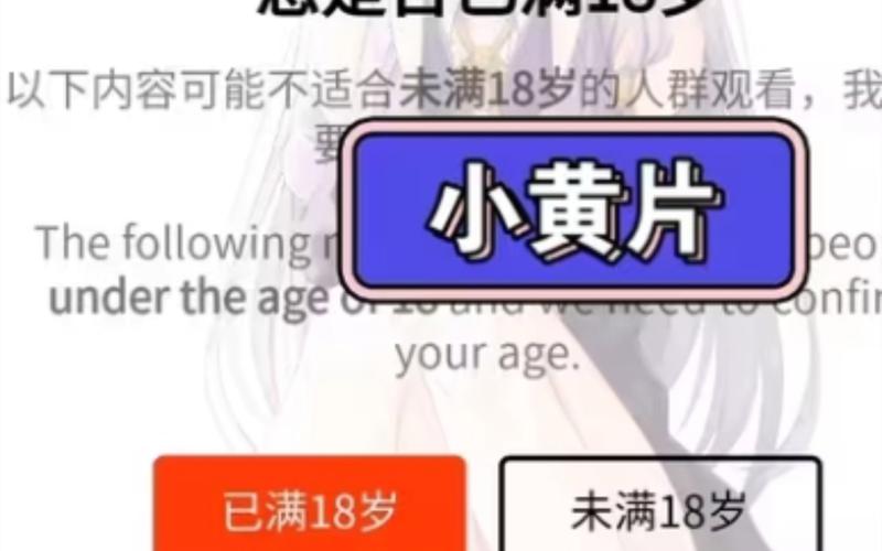 18岁末年禁止观看免费 - 18禁内容访问限制与年龄验证系统详解