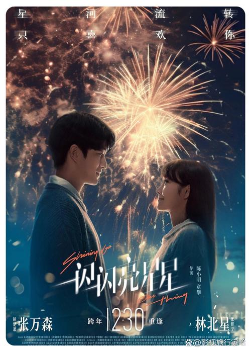 一闪一闪亮星星电视剧免费观看高清 | 全集在线播放、完整版资源、2022爆款悬疑爱情剧