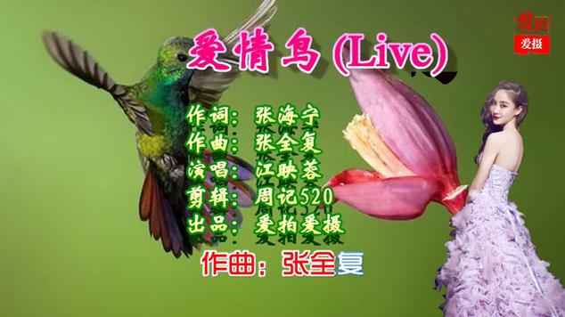 爱情鸟免费视频在线观看 - 2024高清影视资源、极速播放无卡顿、最新热门大片合集