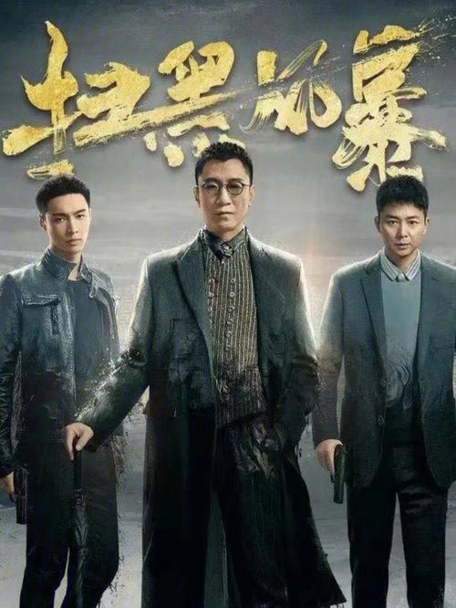 《扫黑风暴》全集在线观看免费完整版 | 孙红雷张艺兴主演刑侦大剧
