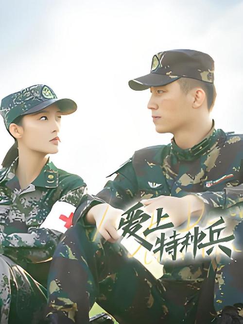 爱上特种兵免费观看全集高清,特种兵爱情剧在线追剧入口,2025热门军旅甜宠剧无删减资源