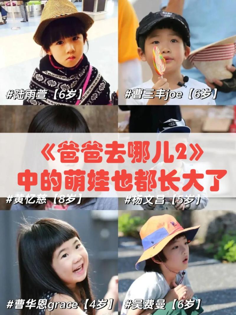 爸爸去哪第2季免费观看 | 亲子综艺完整版在线看 | 高清无广告回放