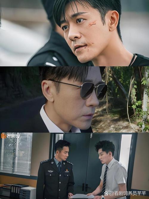 《双面神探》电视剧免费观看完整版|悬疑刑侦剧全集在线|徐璐王一博搭档破案