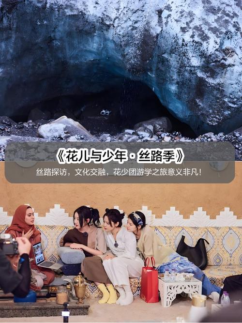 影视大全综艺免费版全免费观看:热门综艺全集在线高清播放