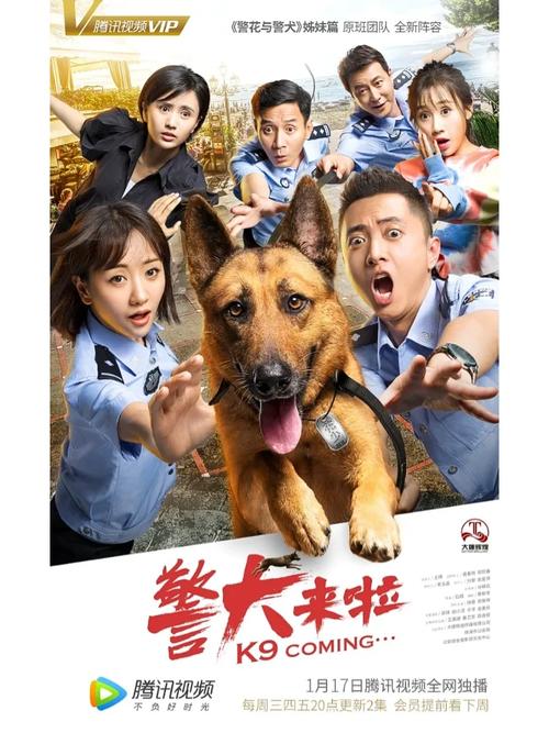 警犬来啦48集免费观看 | 警犬训练日常 | 萌宠破案剧情 | 在线高清追剧