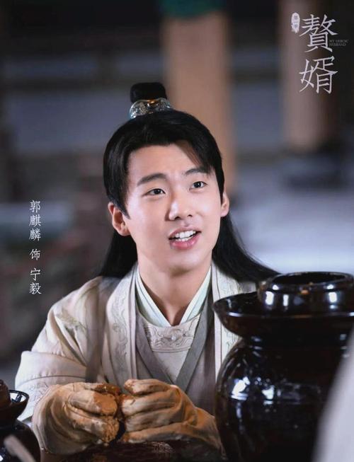 赘婿电视剧免费观看在线,全集高清资源、在线完整版、郭麒麟宋轶主演