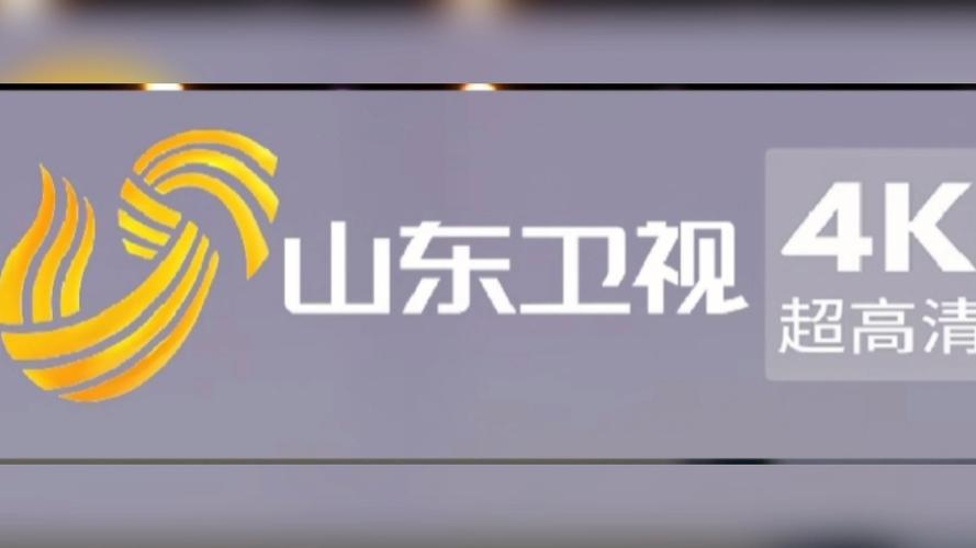 全国卫视免费观看平台推荐,支持高清直播回放与实时节目预告