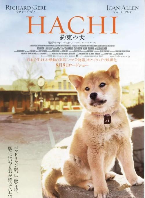 忠犬八公的故事电影免费观看完整版 | 催泪忠犬电影高清在线 | 狗狗与主人的感人故事