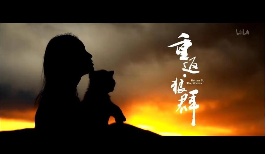 狼群在线观看免费完整版直播 | 高清无删减狼群纪录片全集 | 野生动物生存实录在线回放