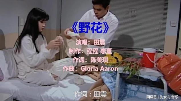野花视频在线观看免费版高清 - 无需下载即点即播、最新影视资源免费追、流畅画质无广告干扰