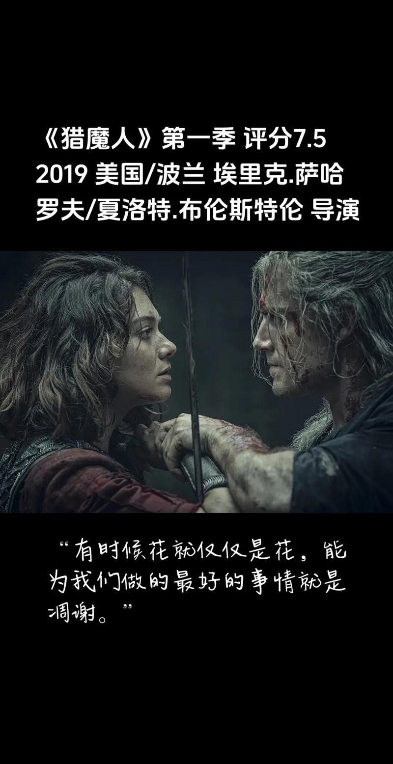 一拳超人2完整版免费观看 | 高清动画第二季在线看 | 热血战斗番剧无删减