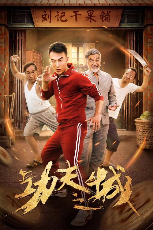 大师兄电影免费观看在线播放,甄子丹热血校园动作片高清完整版