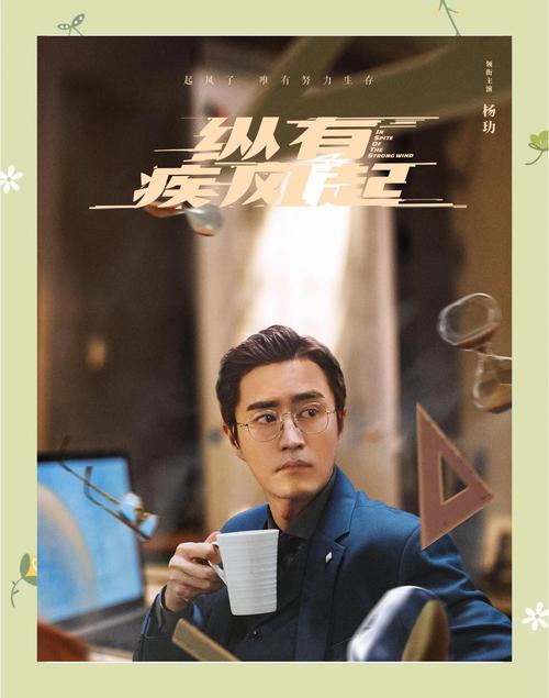 纵有疾风起免费完整版观看 | 靳东新剧在线看 全集资源 高清版