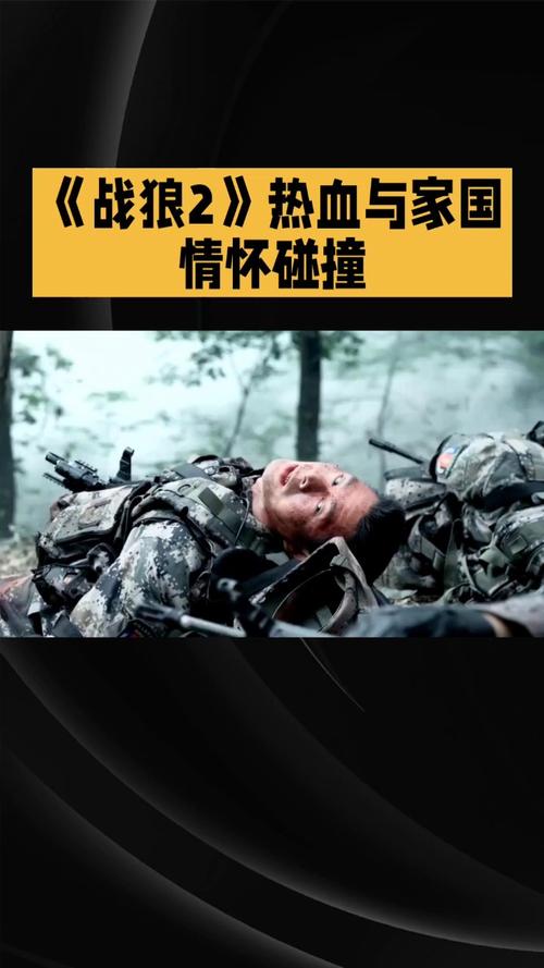 战狼2免费在线观看完整版 | 高清无删减动作大片 吴京主演热血军事电影在线播放