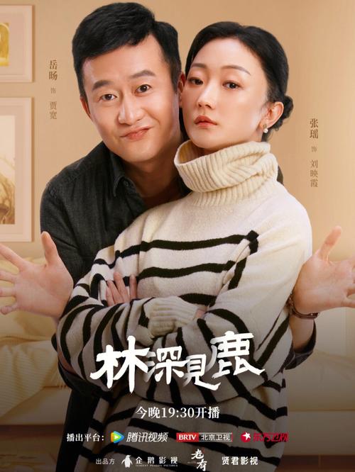 林深见鹿电视剧免费观看全集在线 | 靳东李小冉都市情感剧 | 高清无删减版资源