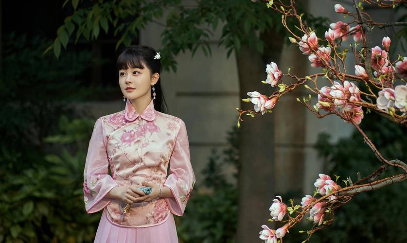 免费观看《千金丫环》电视剧完整版 | 高清全集在线追剧 | 大结局抢先看