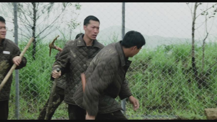 免费观看《监狱风云2》国语版 | 经典港片监狱题材电影在线高清