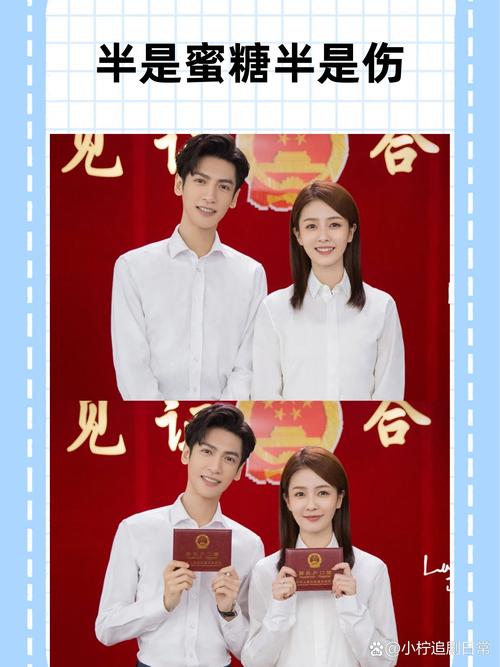 《半是蜜糖半是伤》免费观看全集|在线资源|正版高清|全集播放
