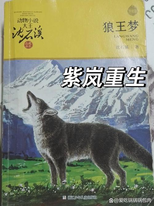 狼王梦电影免费观看｜高清完整版在线播放｜狼族成长史诗亲子必看