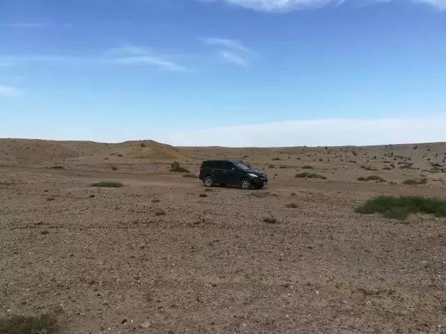 久青草原视频一免费观看2|高清完整版在线播放|草原旅游风景纪录片回放