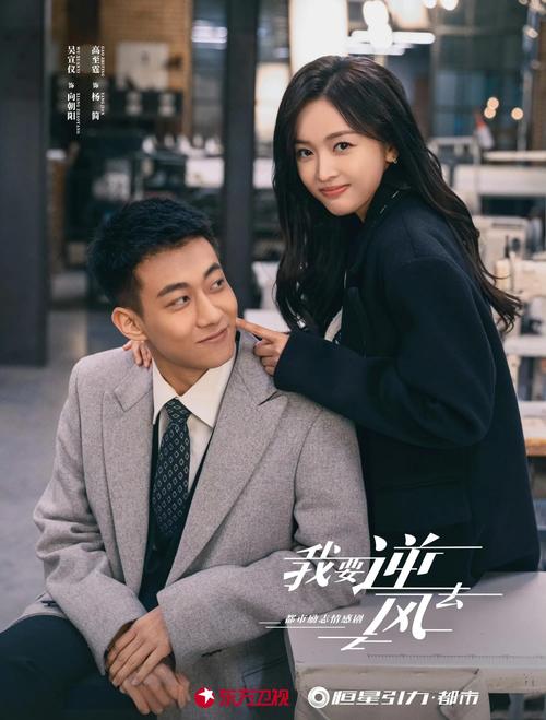 《我要逆风去》免费观看完整版 | 逆风成长商战剧 | 职场逆袭在线资源