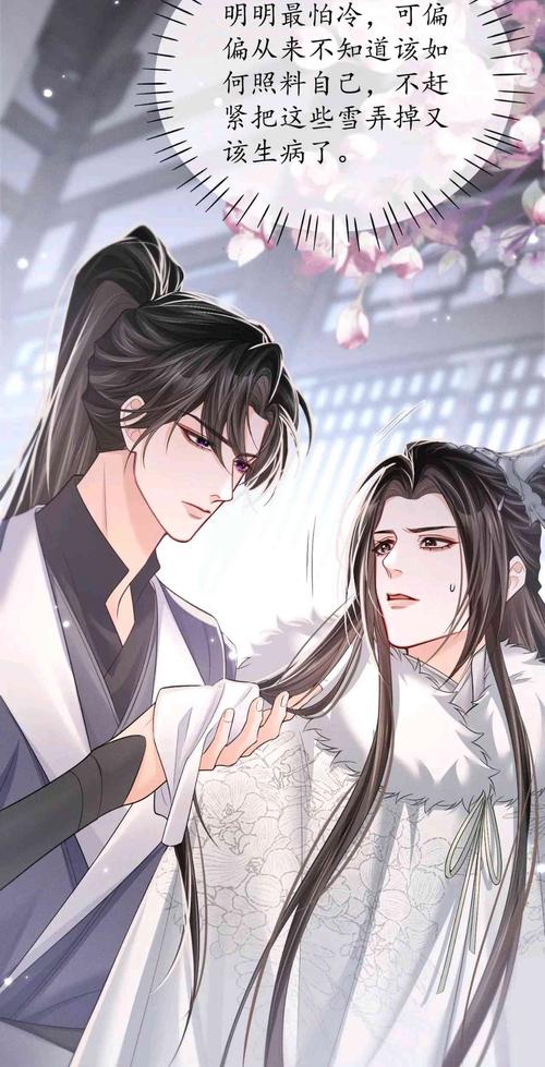 《二哈和他的白猫师尊漫画免费观看|在线追更|原著改编高甜虐恋》