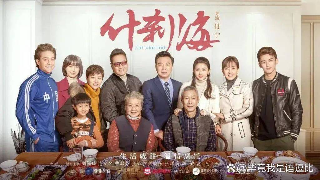 《什刹海》电视剧免费观看完整版 | 京味家庭剧 | 老北京生活 | 全集在线