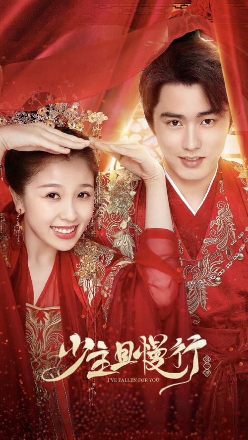 《二炮手》45集全集免费观看高清完整版 | 高清画质在线追剧 | 孙红雷抗战剧经典