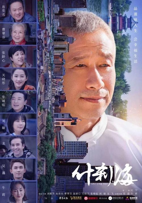 《什刹海》电视剧免费观看完整版 | 京味家庭剧 | 老北京生活 | 全集在线