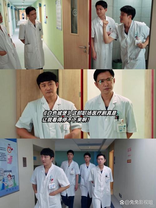 白色城堡电视剧在线观看免费 | 完整版高清资源 | 热播医疗剧全集