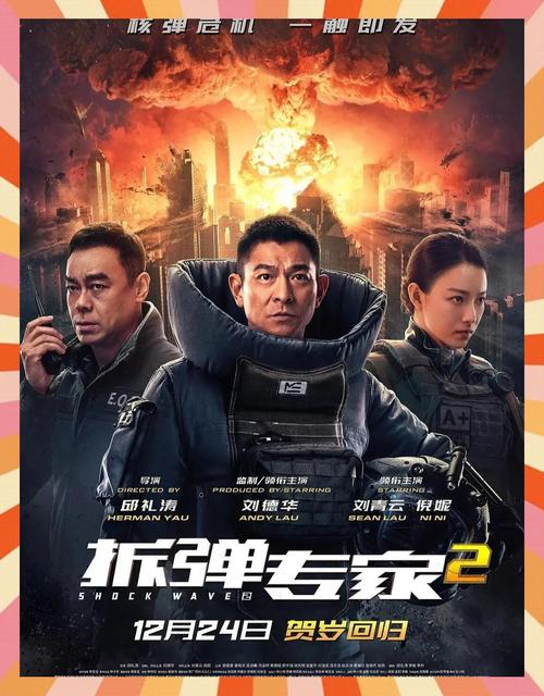 拆弹专家2免费观看 | 2024高清完整版在线看,刘德华主演动作犯罪片,港片迷必追的经典续作