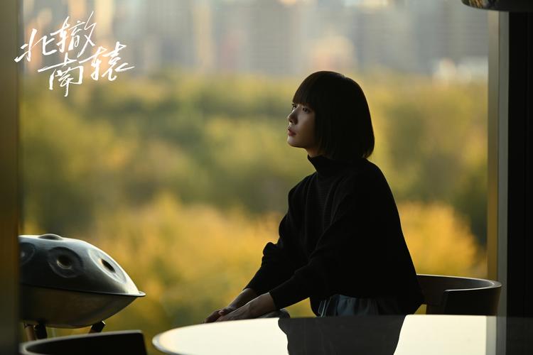 免费观看《北辙南辕》全集 | 冯小刚执导女性群像剧 | 北辙南辕电视剧在线资源