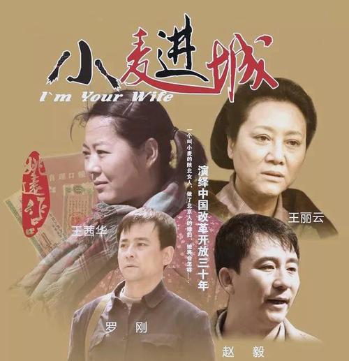 《小麦进城》全集在线看免费观看|年代励志剧高清资源|怀旧农村题材电视剧推荐